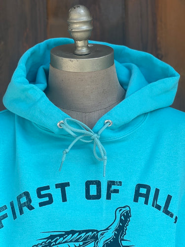 I'm not SNAPPY Hoodie- Turquoise